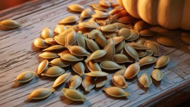 بذوار القرع